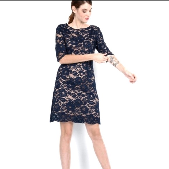 Molly Bracken Short Lace Sheath Dress Blue… - Picture 1 of 9
